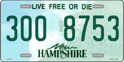 NH license plate 3008753