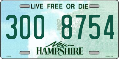 NH license plate 3008754