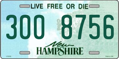 NH license plate 3008756