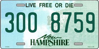 NH license plate 3008759