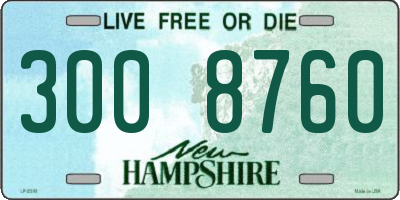 NH license plate 3008760