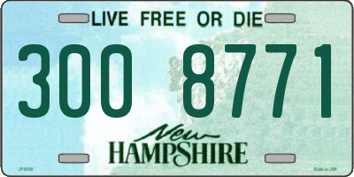 NH license plate 3008771