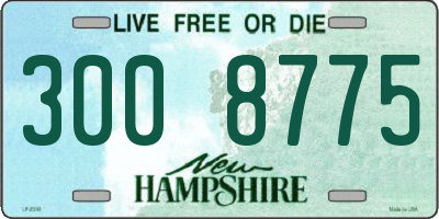 NH license plate 3008775