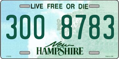 NH license plate 3008783