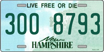 NH license plate 3008793