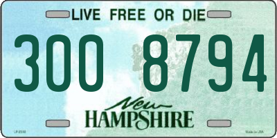 NH license plate 3008794