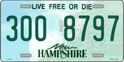 NH license plate 3008797