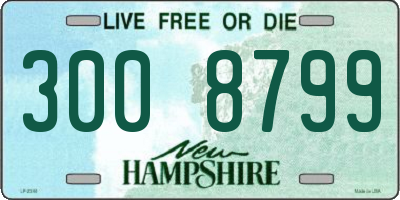 NH license plate 3008799
