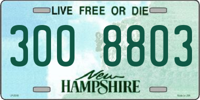 NH license plate 3008803