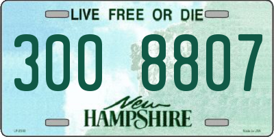 NH license plate 3008807