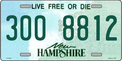 NH license plate 3008812