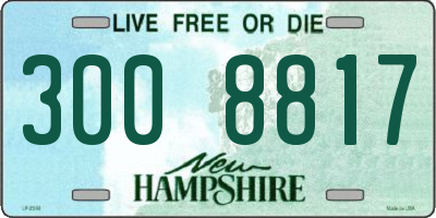 NH license plate 3008817