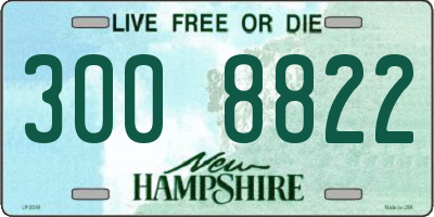 NH license plate 3008822