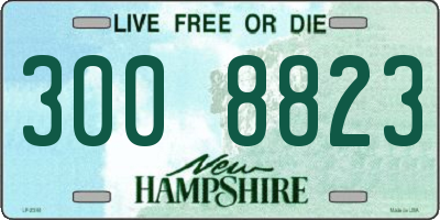 NH license plate 3008823