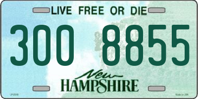 NH license plate 3008855