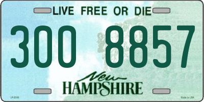 NH license plate 3008857