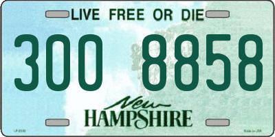 NH license plate 3008858