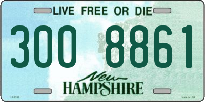 NH license plate 3008861