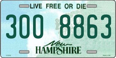 NH license plate 3008863