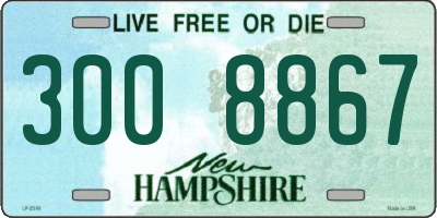 NH license plate 3008867