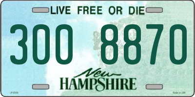 NH license plate 3008870