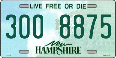 NH license plate 3008875