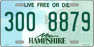 NH license plate 3008879