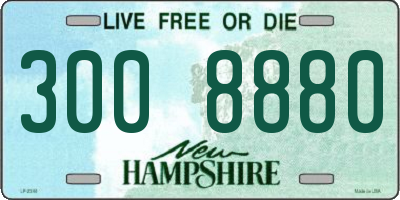 NH license plate 3008880