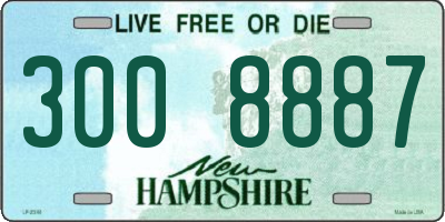 NH license plate 3008887