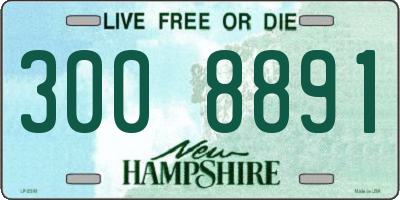 NH license plate 3008891
