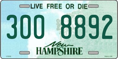 NH license plate 3008892