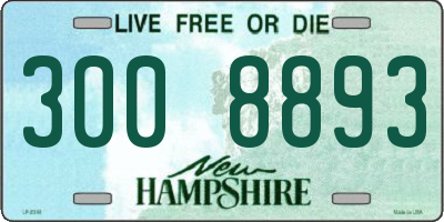 NH license plate 3008893