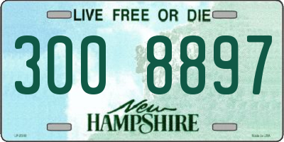 NH license plate 3008897