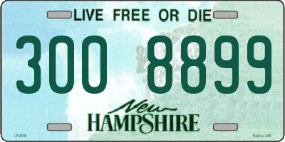 NH license plate 3008899