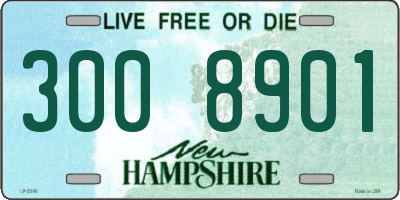 NH license plate 3008901