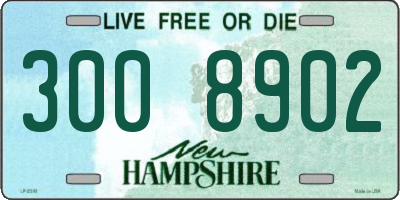 NH license plate 3008902