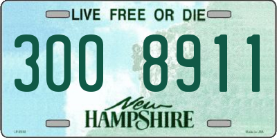 NH license plate 3008911