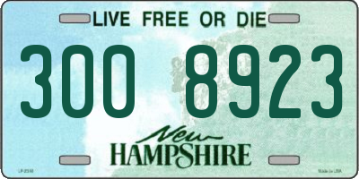 NH license plate 3008923