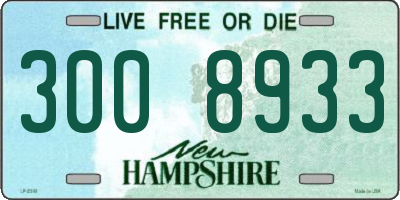 NH license plate 3008933