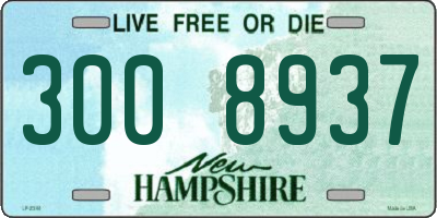 NH license plate 3008937