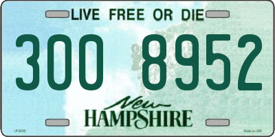 NH license plate 3008952