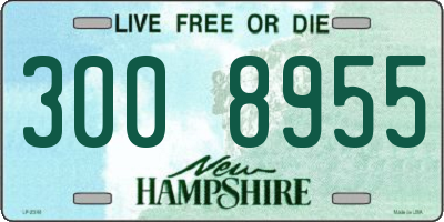 NH license plate 3008955