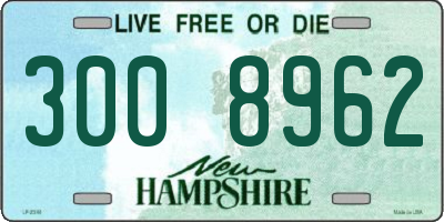 NH license plate 3008962