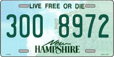NH license plate 3008972