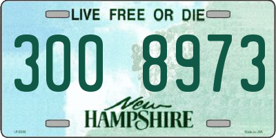 NH license plate 3008973