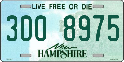 NH license plate 3008975