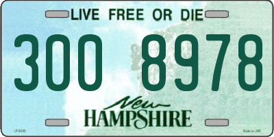 NH license plate 3008978