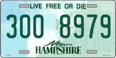 NH license plate 3008979