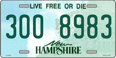 NH license plate 3008983