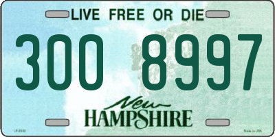 NH license plate 3008997
